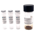 60nm NHS-Activated Silver Nanoparticle Conjugation Kit (MIDI Scale-Up Kit)