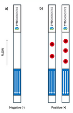 Lateral Flow "DIY" Assay Kit