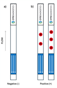 Lateral Flow "DIY" Assay Kit