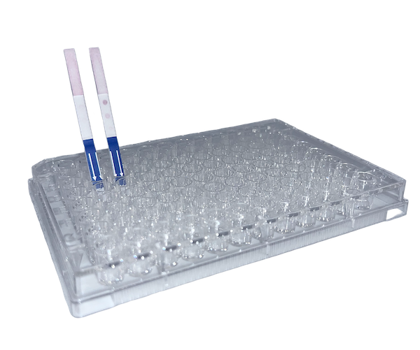 Lateral Flow "DIY" Assay Kit