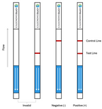 Rabbit IgG Fc Lateral Flow Dipstick Assay Kit