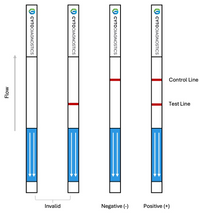 Human IgG Fc Lateral Flow Dipstick Assay Kit