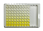 Human IL-6 ELISA Kit