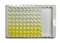 Human IL-6 ELISA Kit