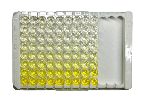 Human IL-6 ELISA Kit