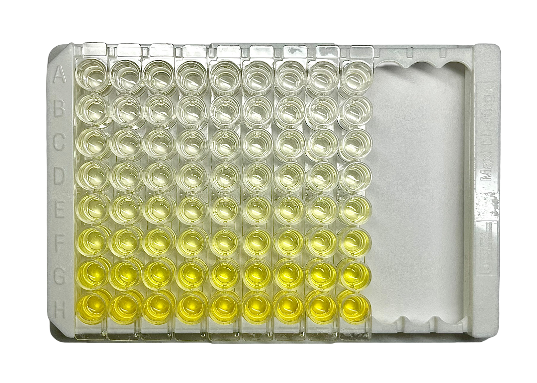 Human TNF-alpha ELISA Kit | Cytodiagnostics Inc