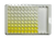 Human IL-17 ELISA Kit