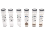 40nm NHS-Activated Silver Nanoparticle Conjugation Kit (3 Reactions)