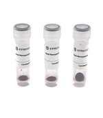 10nm AptamerREADY Gold Nanoparticle Conjugation Kit (3 reactions)