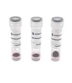 5nm OligoREADY Gold Nanoparticle Conjugation Kit (3 reactions)