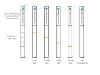 Conjugation QC Lateral Flow Dipstick Kit